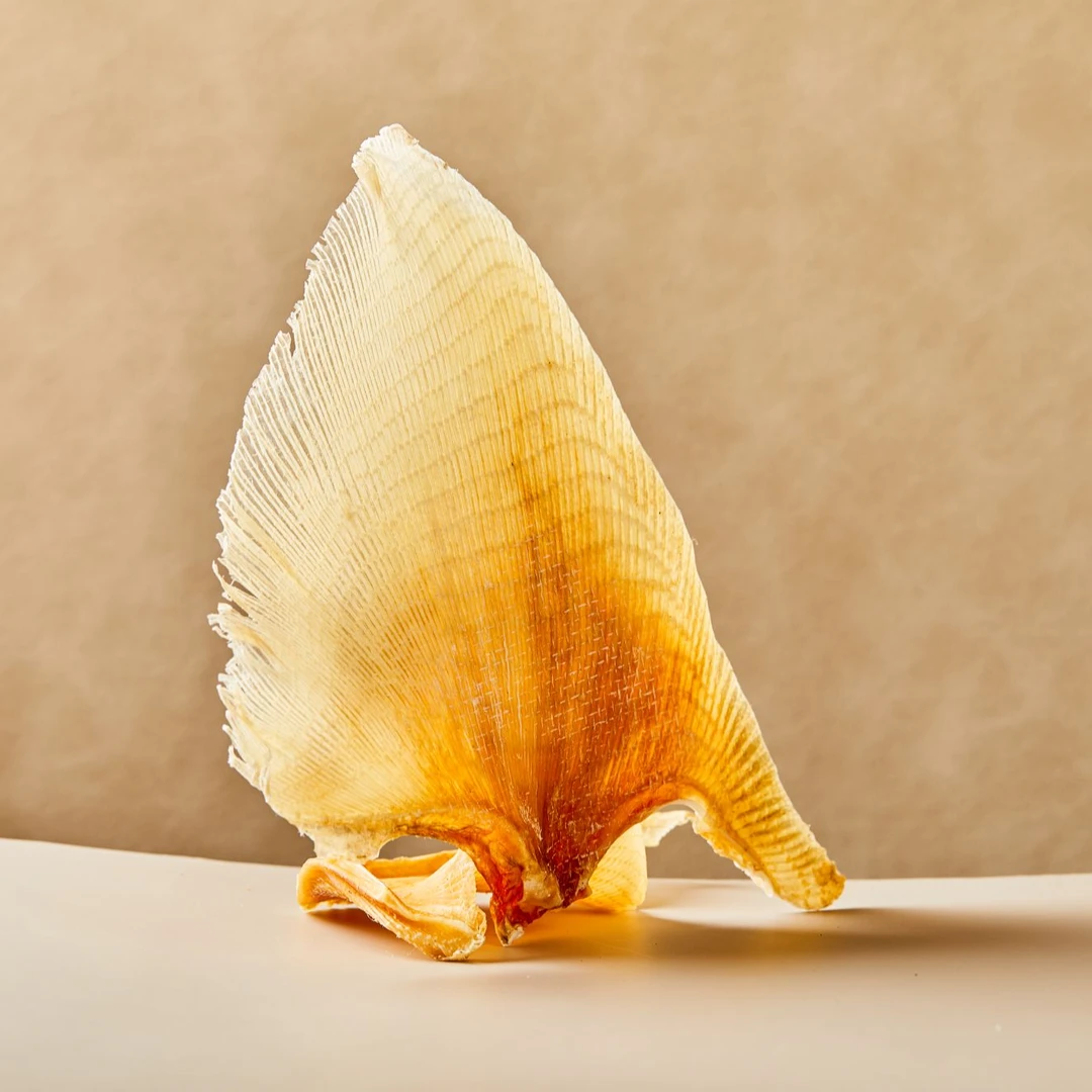 海狗翅足干新货煲汤烹饪特产干货