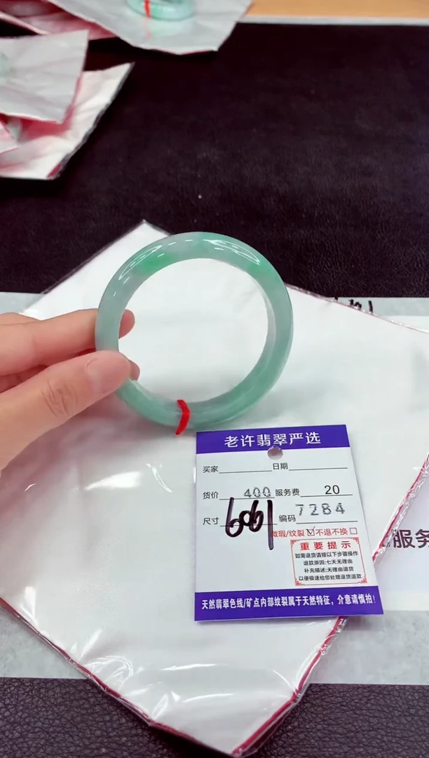未镶嵌手镯翡翠1