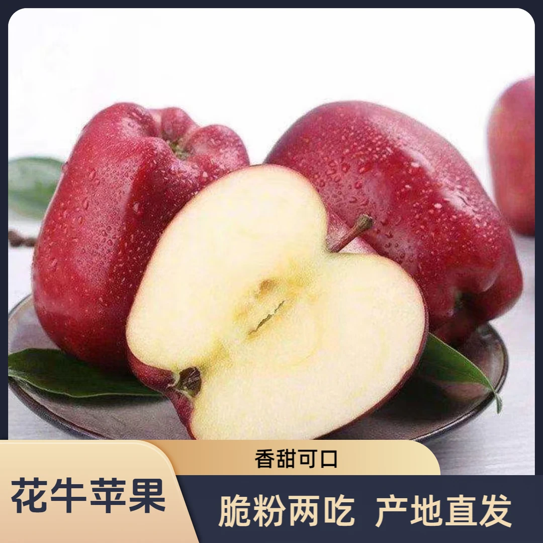 甘肃天水花牛苹果现摘不打蜡新鲜多汁脆粉两吃