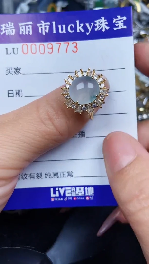 翡翠银S925镶嵌颈饰9773