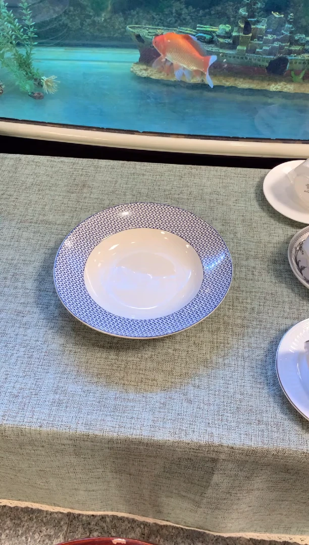 新骨瓷cc453陶瓷没有完美无瑕1个样品