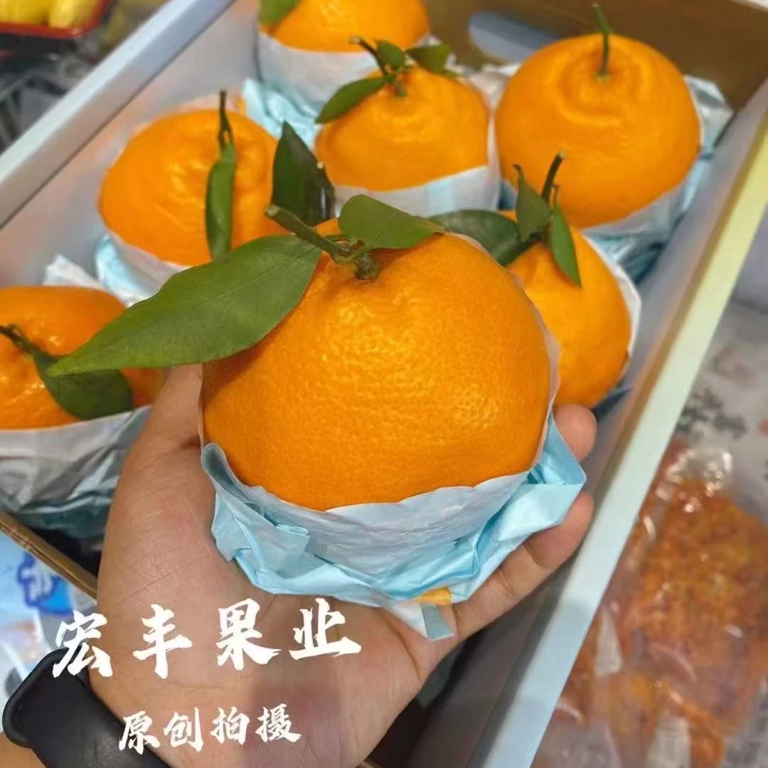 【顺丰包邮】春见耙耙柑四川春见耙耙柑原箱8.5斤四川省