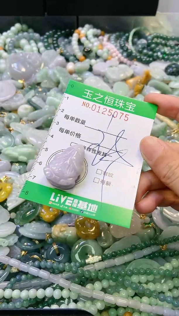 翡翠未镶嵌颈饰闪购0125075