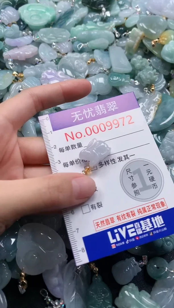 颈饰未镶嵌翡翠9972