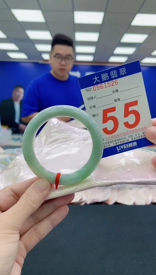 未镶嵌手镯翡翠AAAAAAAAA