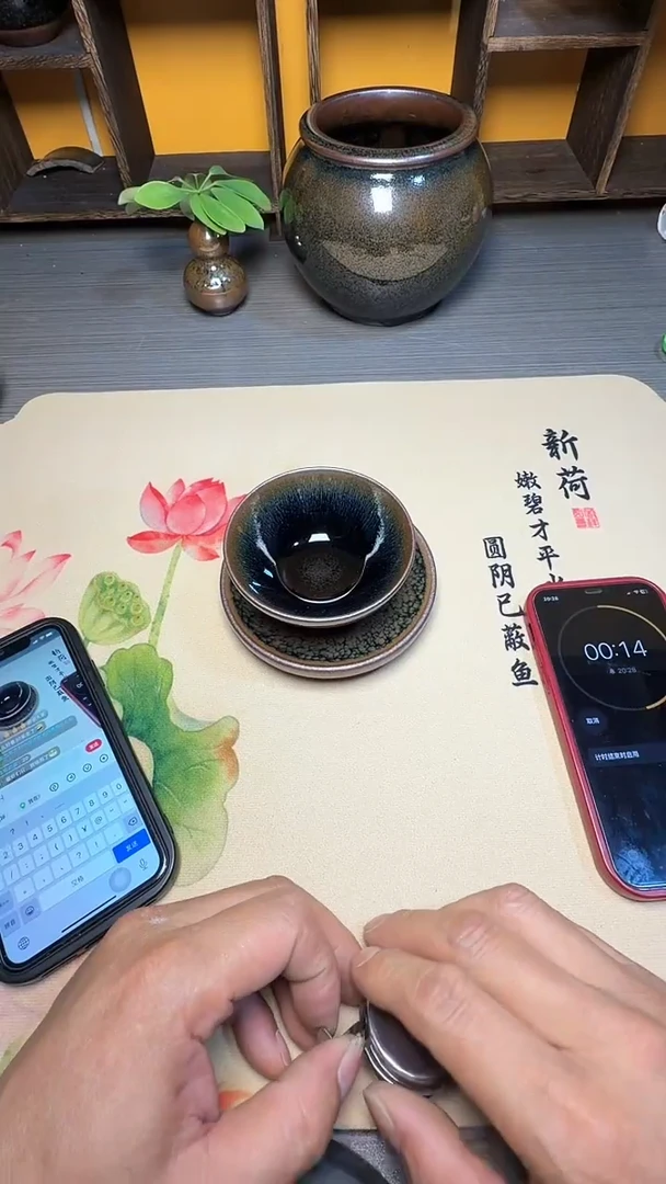 茶盏r****p206-----