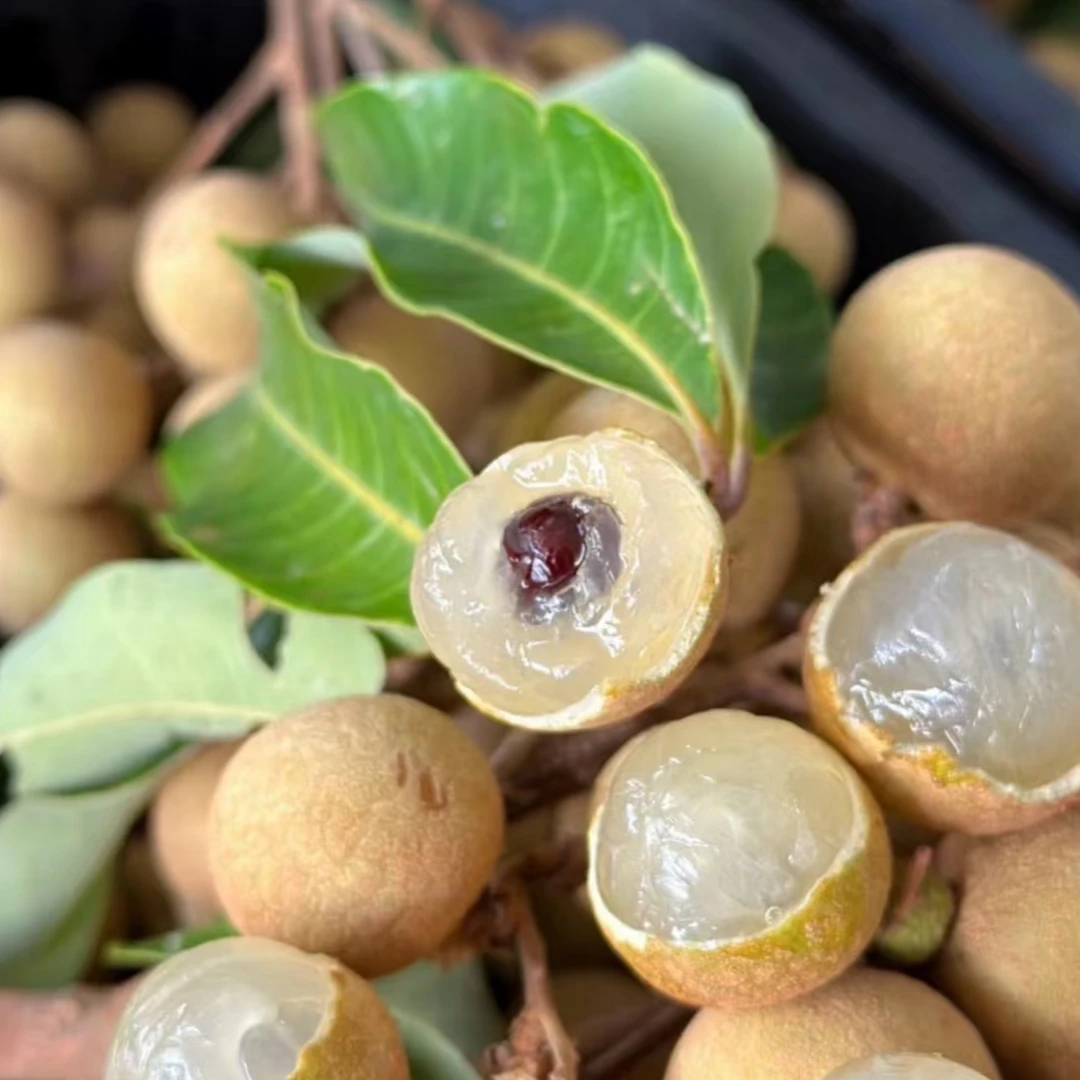 【精品果】高州龙眼脆甜当季新鲜水果礼盒新鲜水果现摘10