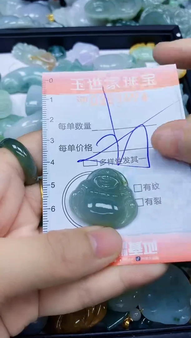 翡翠未镶嵌颈饰闪购0263474多样性发其一