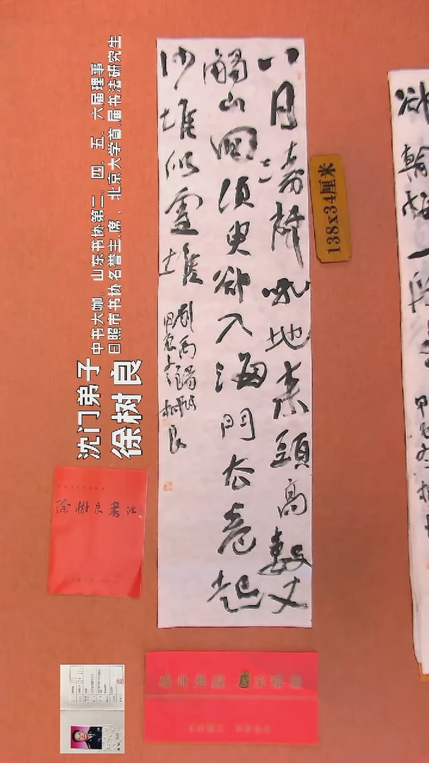 【闪购商品】书法116    徐树良书法作品