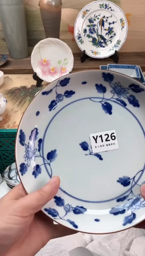 瓷片s*s126