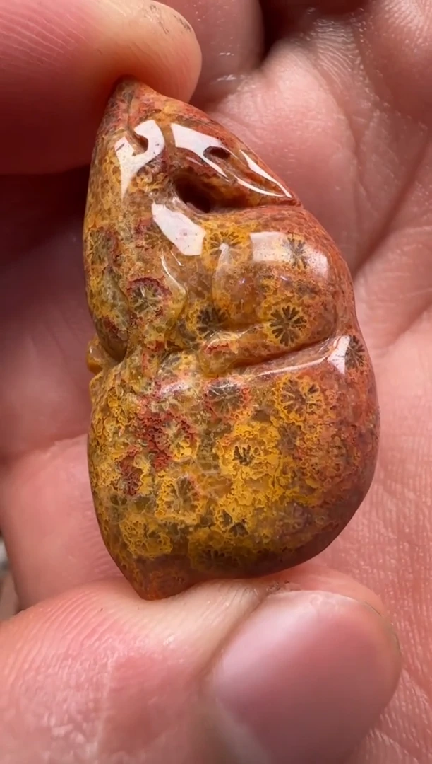 【闪购商品】硅化珊瑚（珊瑚玉）颈饰未镶嵌118