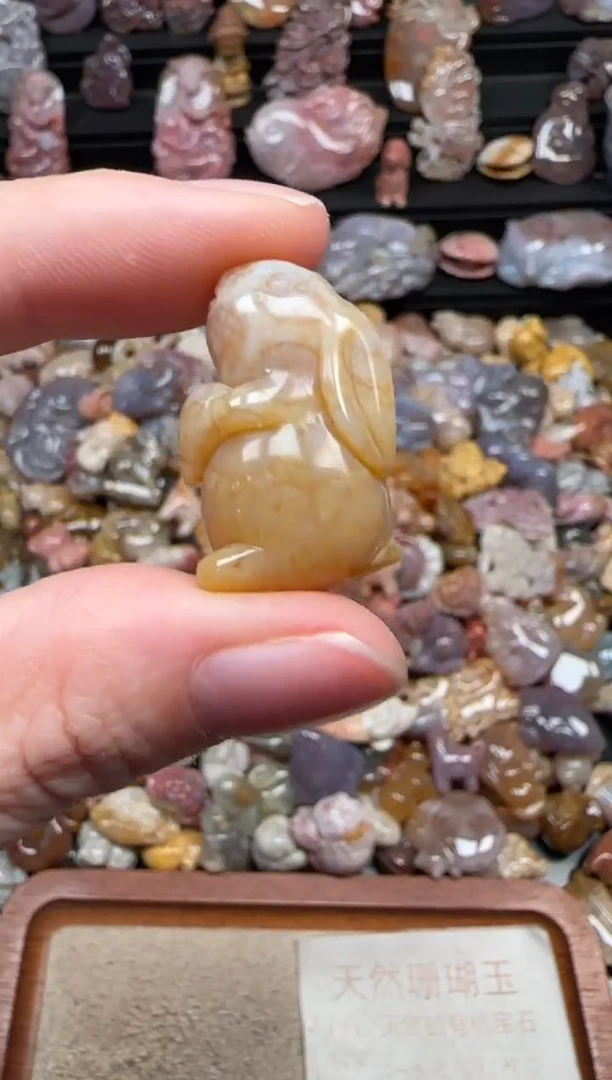 颈饰未镶嵌硅化珊瑚（珊瑚玉）005