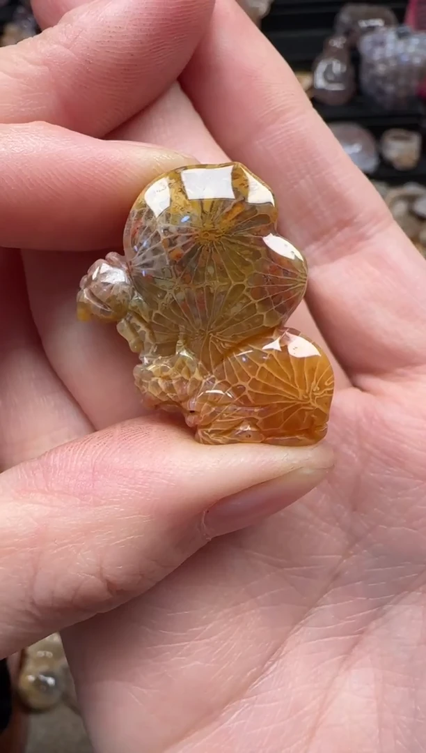 颈饰未镶嵌硅化珊瑚（珊瑚玉）182