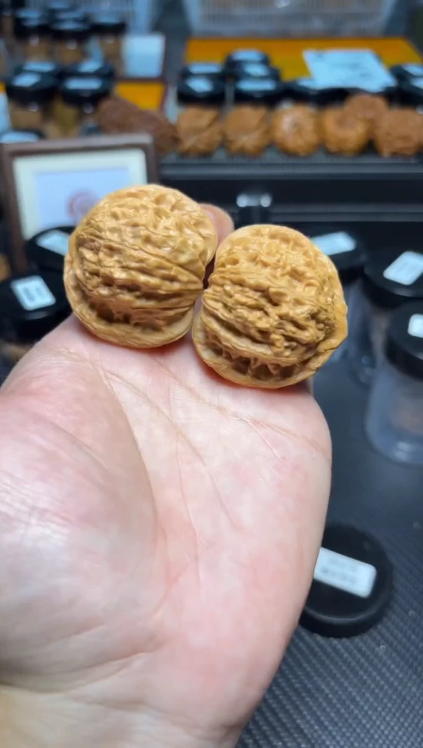 文玩核桃把件141公子帽全品无修打好底