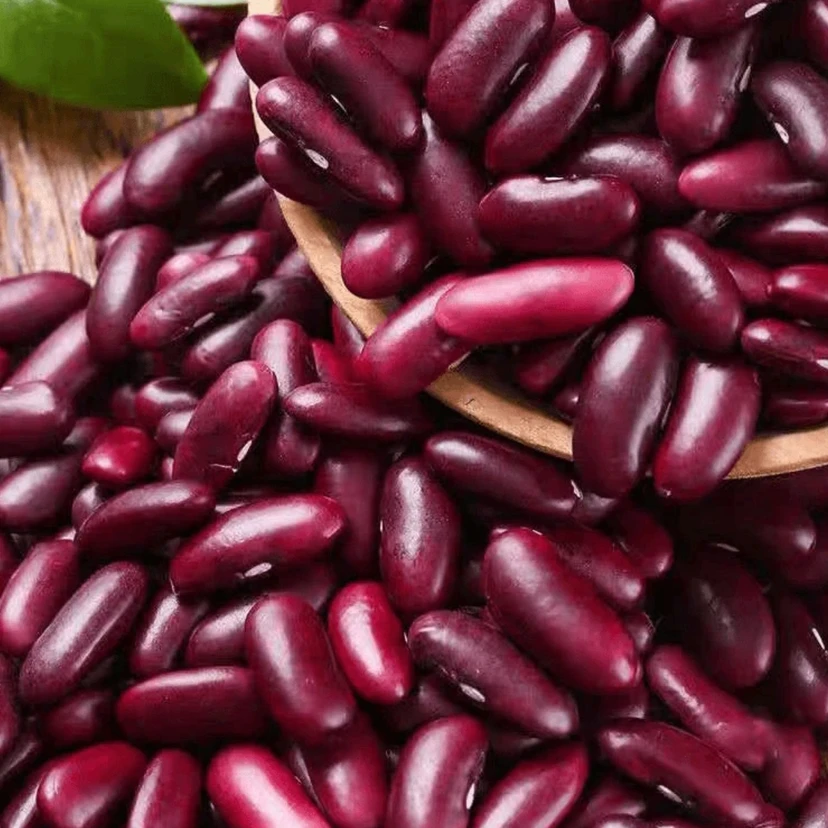 贵州高原   红腰豆