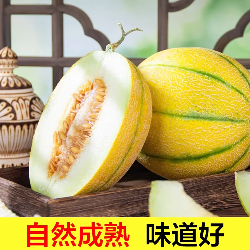 新疆老汉瓜黄金当季新鲜水果软糯清爽香甜新疆当季特产哈密瓜