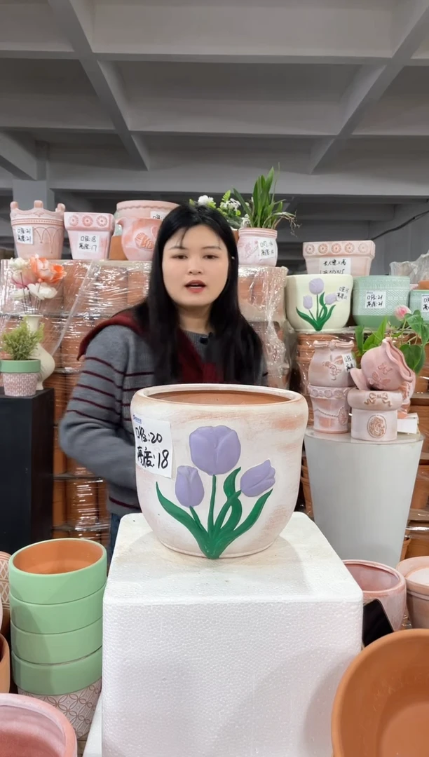 【闪购商品】红陶复古紫花郁金香20-18