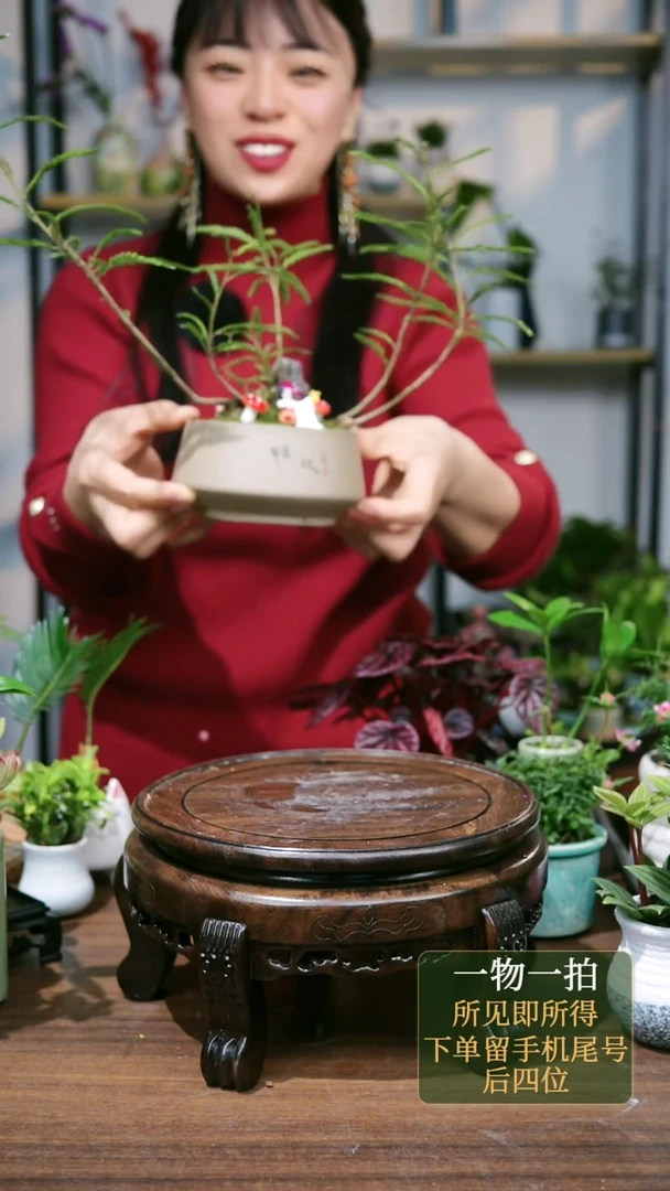 【闪购商品】85--2156棕竹茶壶2个