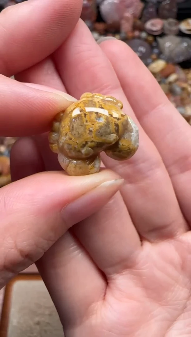 颈饰未镶嵌硅化珊瑚（珊瑚玉）804