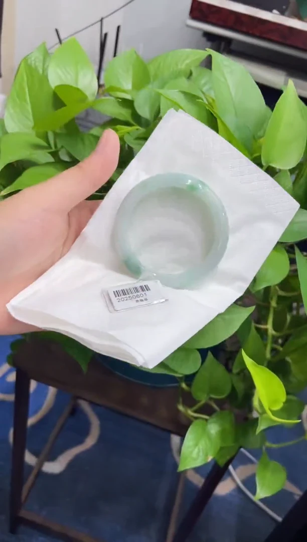 未镶嵌手镯翡翠8101****