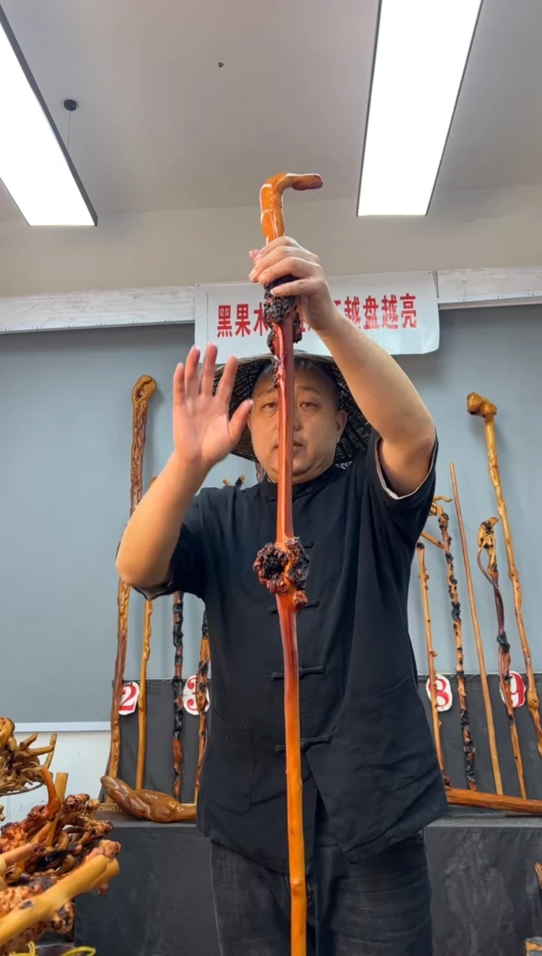 【闪购商品】黑果木其他黑果木692