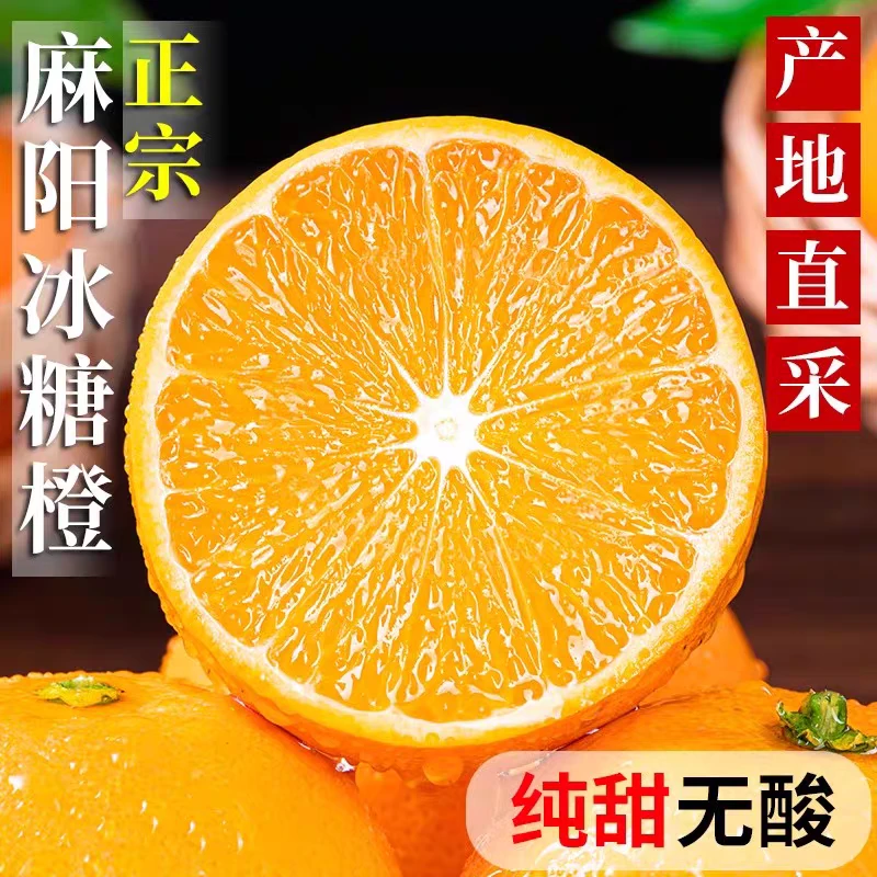 【送开果器】麻阳冰糖橙新鲜甜橙子当季现摘现发孕妇小孩可食用