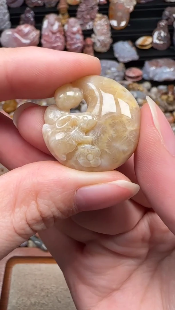 颈饰未镶嵌硅化珊瑚（珊瑚玉）284