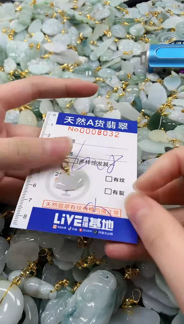 颈饰未镶嵌翡翠纯天然a货翡翠