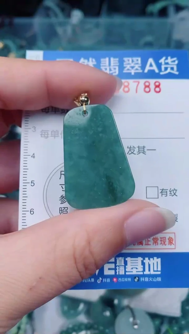 颈饰未镶嵌翡翠00008788