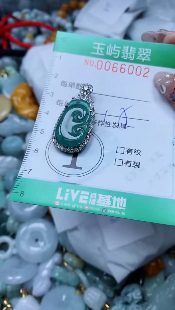 【闪购商品】翡翠颈饰未镶嵌闪购0066002