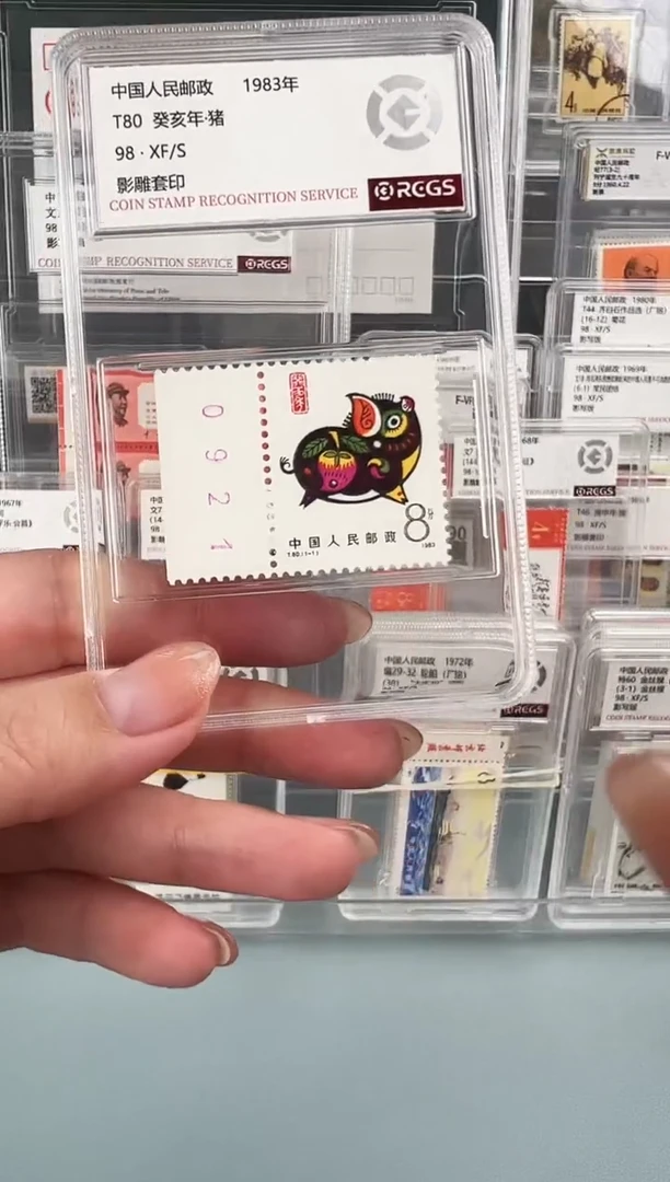 T80一轮猪单枚带数字