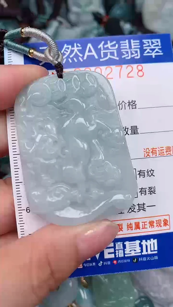 翡翠未镶嵌颈饰...0002728