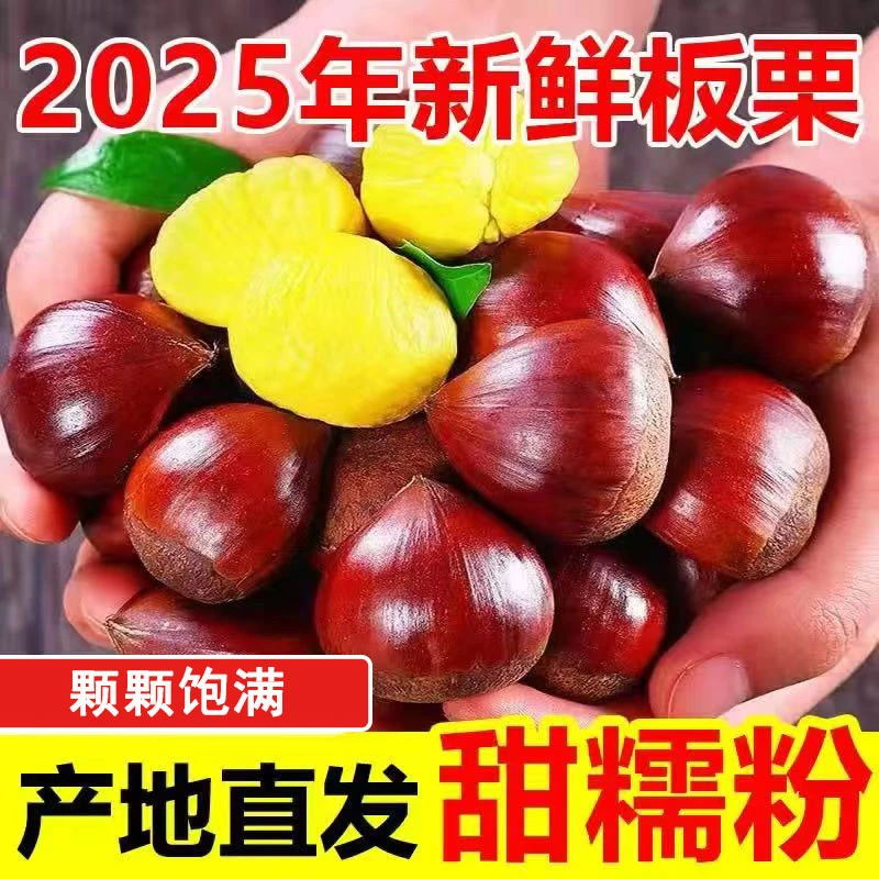 大别山栗子2025年新板栗农家现摘生栗子带箱5斤装板栗香甜DC