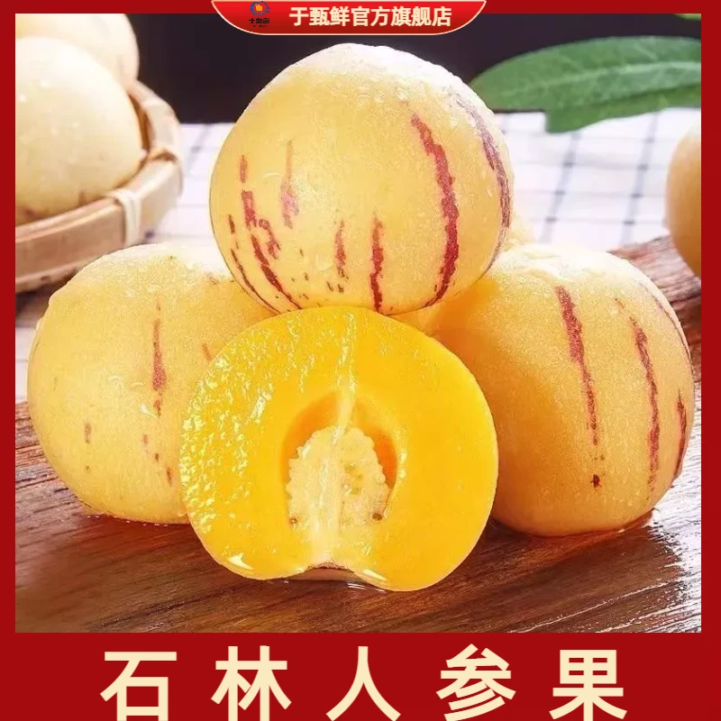 【于甄鲜】正宗云南风化树上熟人参果熟黄肉圆果甘甜多汁3-5斤