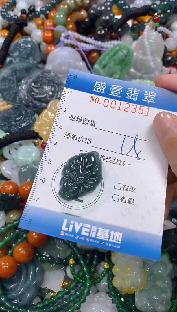 颈饰未镶嵌翡翠闪购0012351