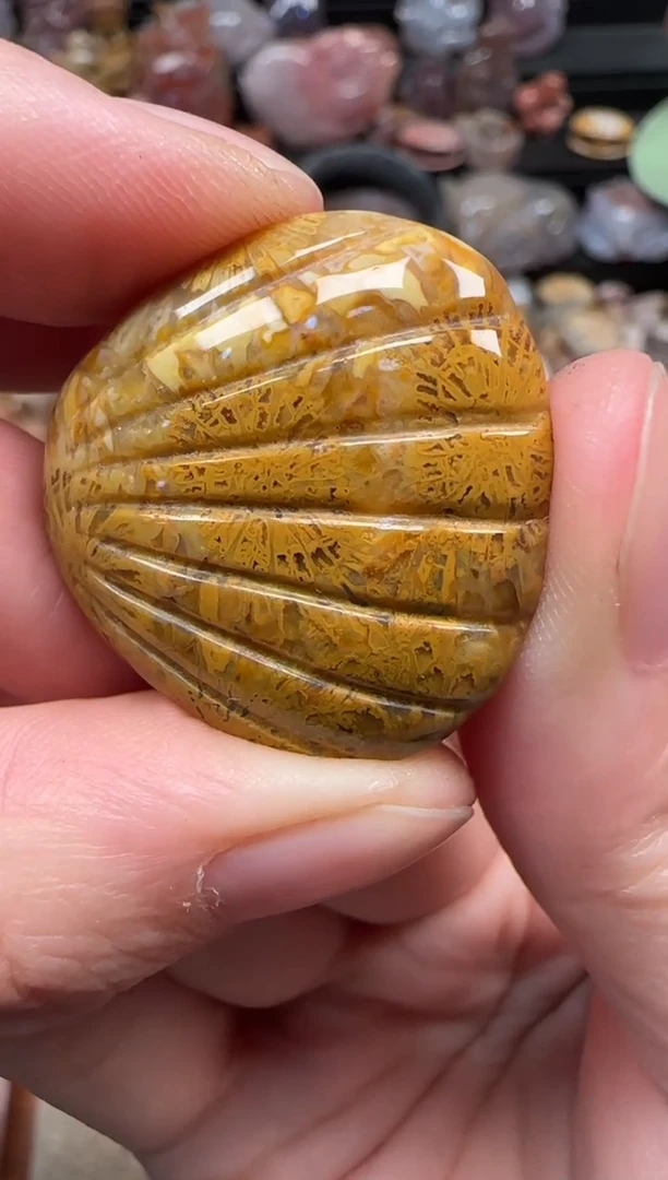 颈饰未镶嵌硅化珊瑚（珊瑚玉）395