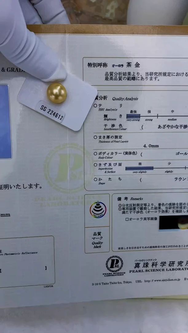 未镶嵌南洋金珠海水珍珠南洋金珠裸珠定制13.8mm（带月光彩虹大证）