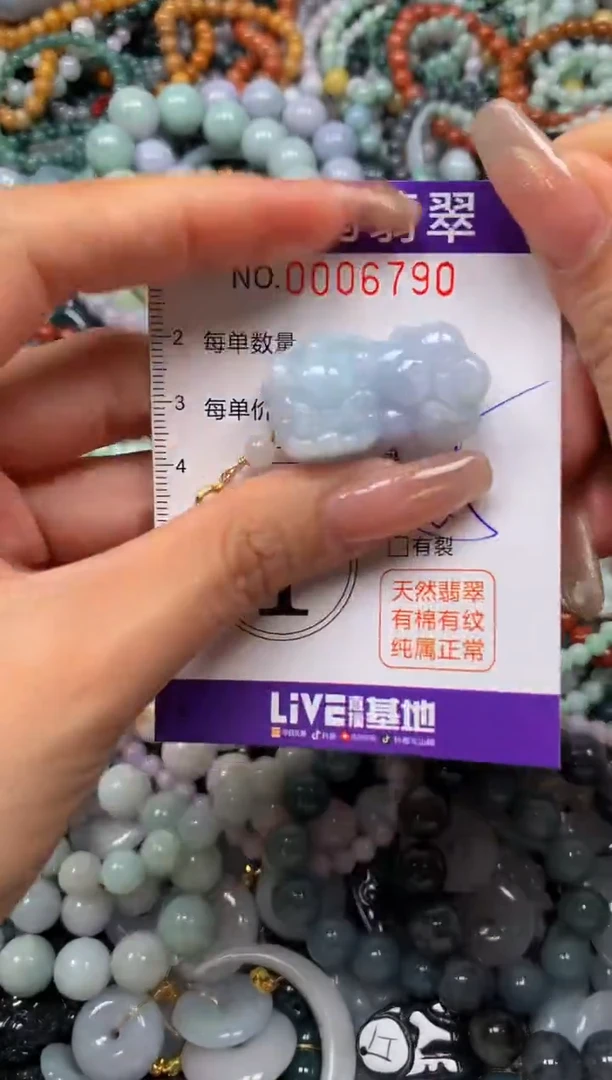 翡翠未镶嵌颈饰闪购006790