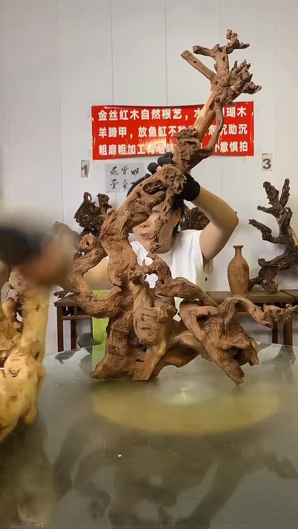 香榧木痴****童金丝红木   羊蹄甲