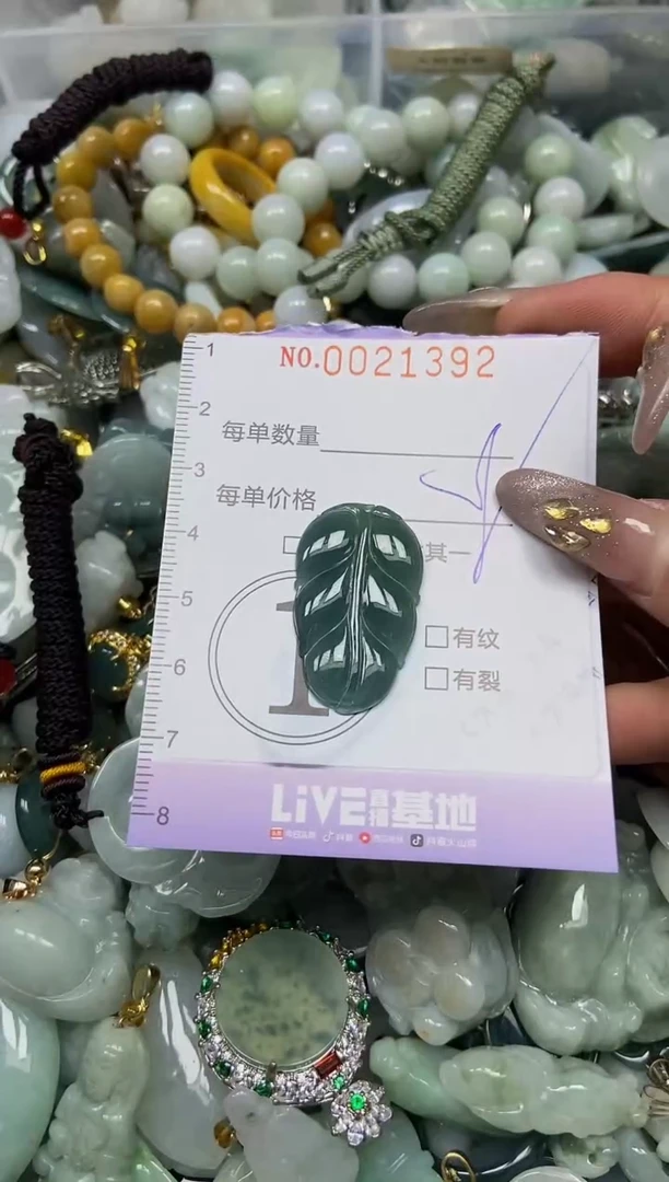 【闪购商品】翡翠颈饰未镶嵌闪购0021392