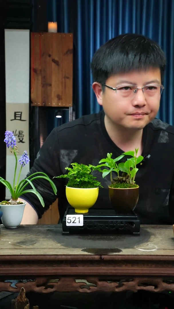 【闪购商品】苔藓微景观521号