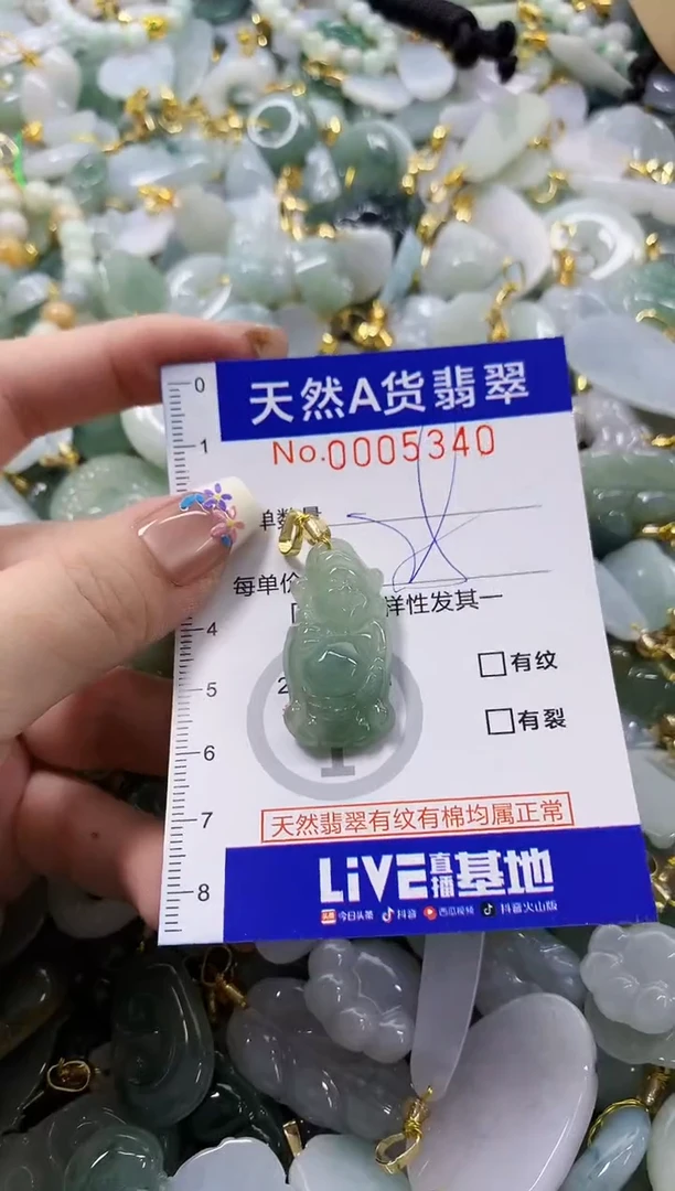 颈饰未镶嵌翡翠天然A货翡翠