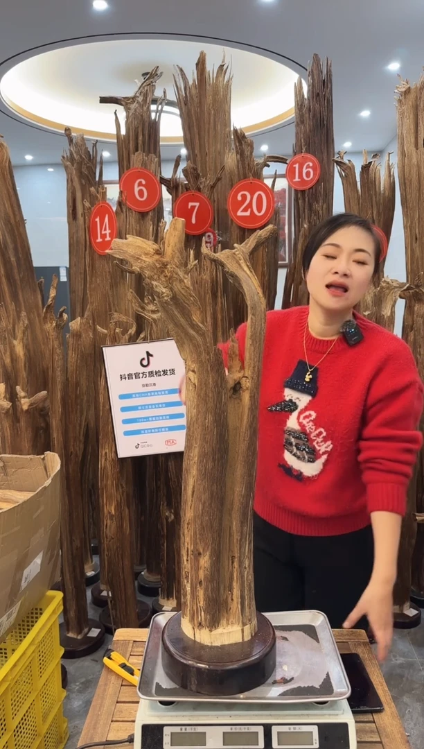 【闪购商品】沉香摆件沉香摆件9