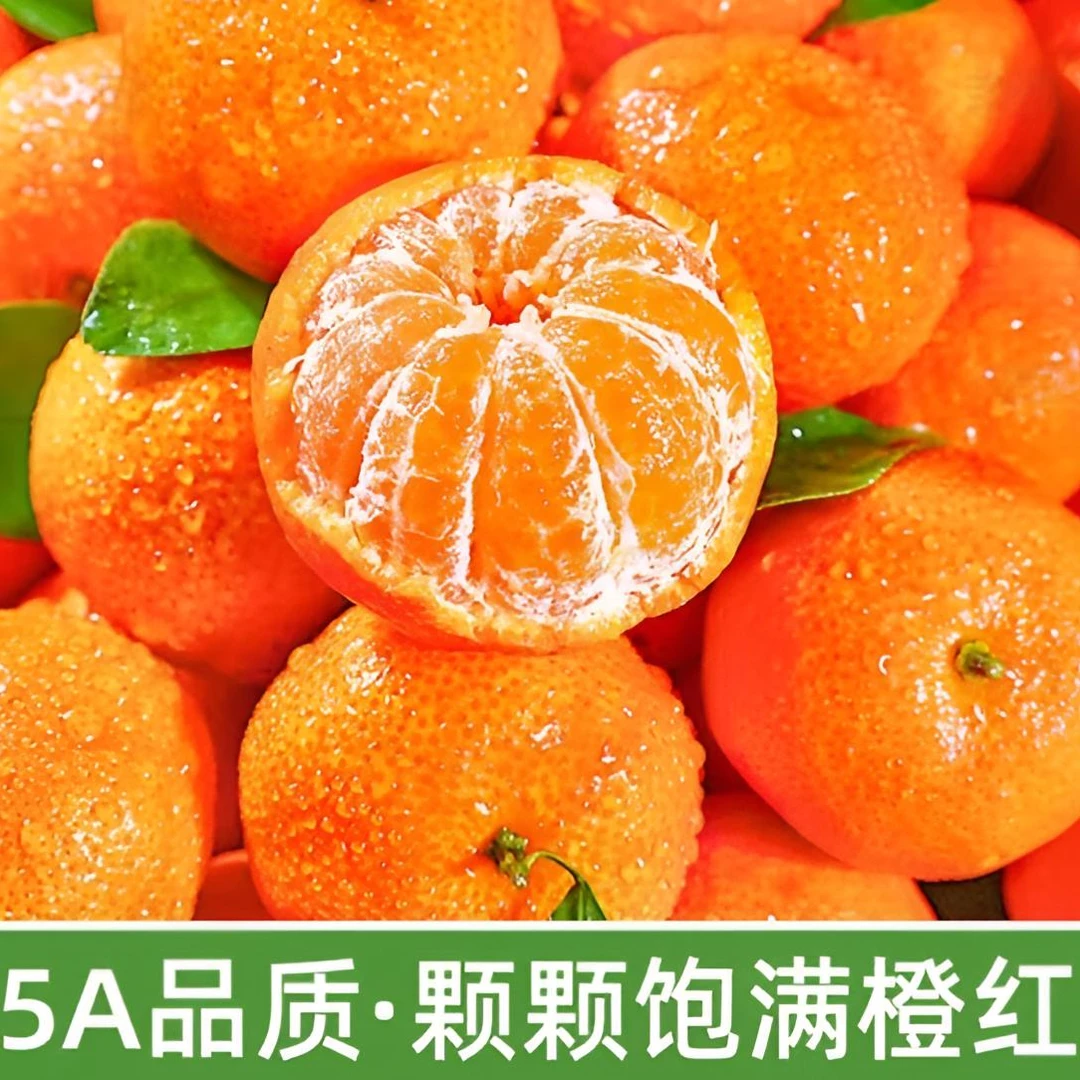 广西沙糖桔6斤装中果顺丰包邮沙糖桔广西壮族自治区广西壮族自治区桂林市