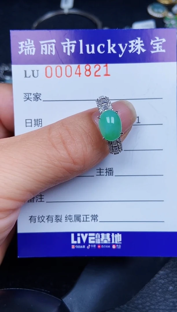 翡翠银S925镶嵌颈饰4821