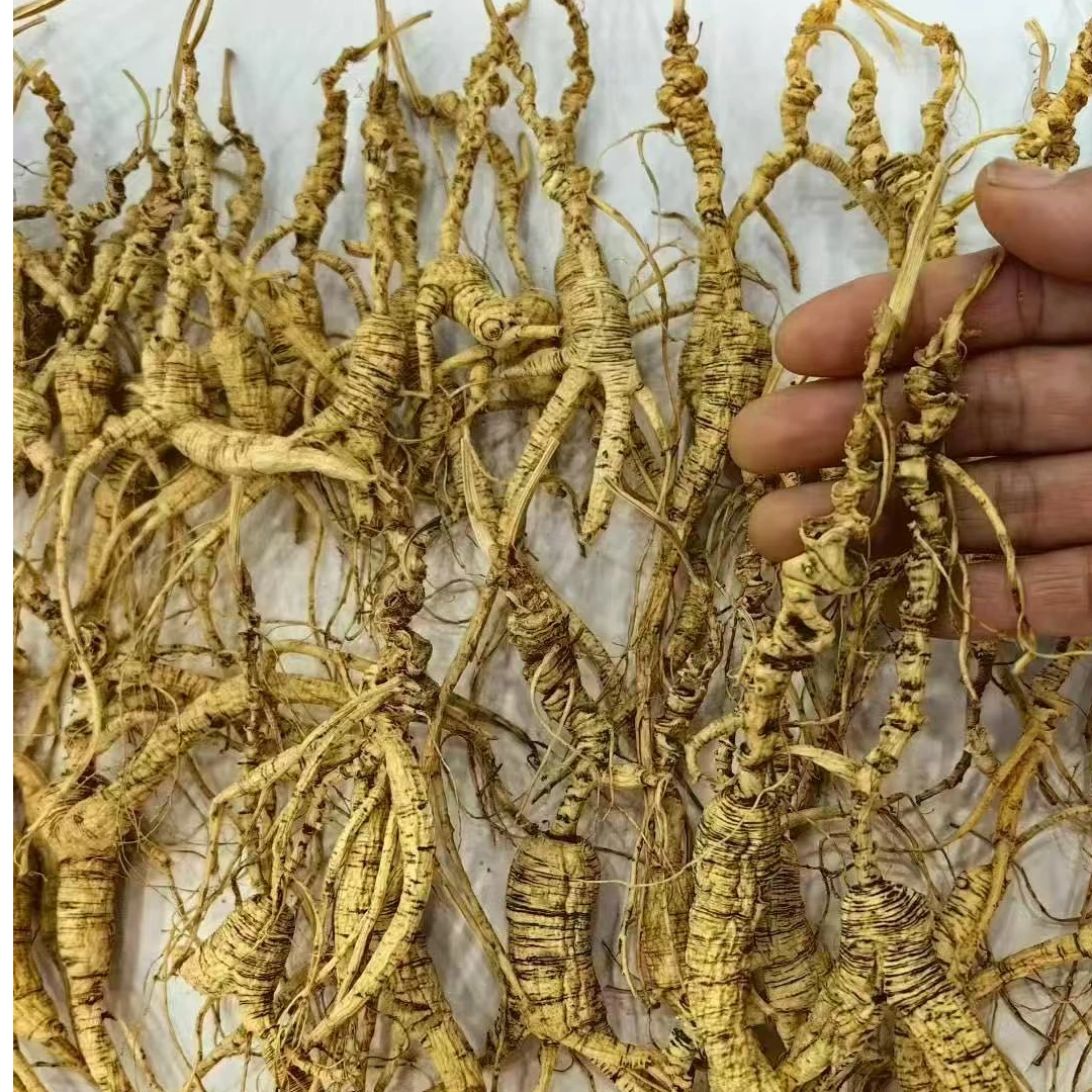 直播间专用改价链接长白山林下干参高龄干参自用送礼煲汤泡水泡酒
