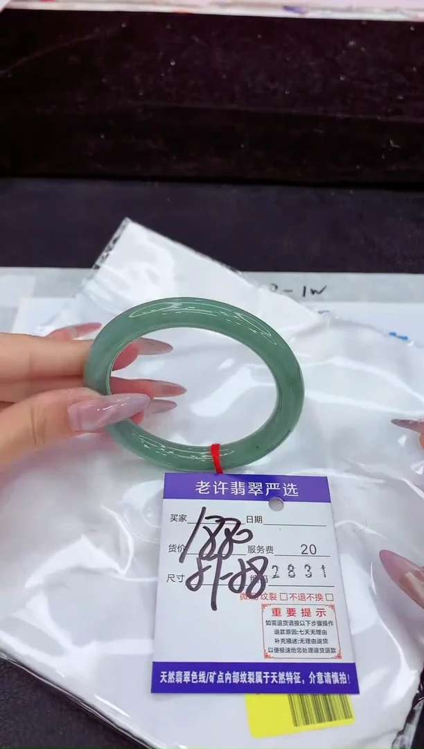 未镶嵌手镯翡翠1