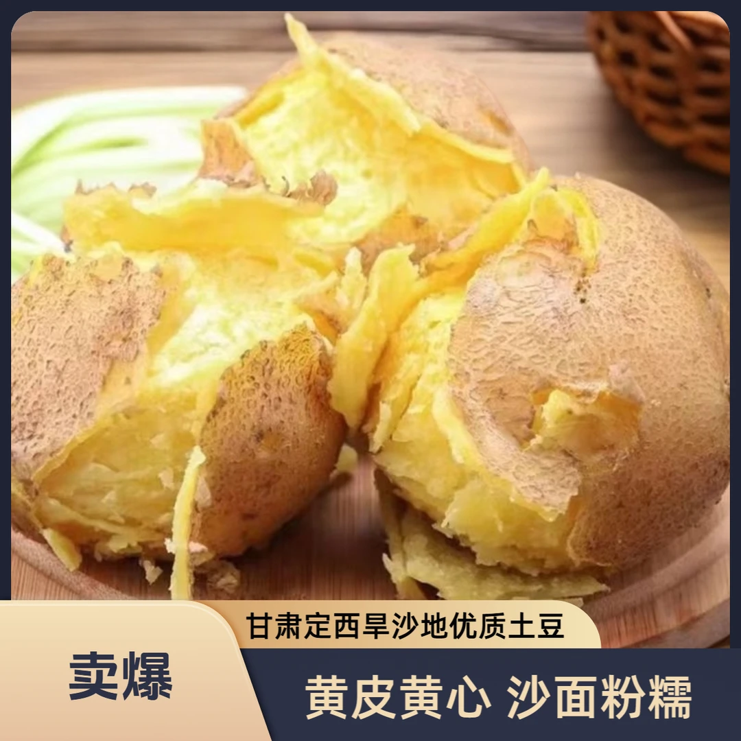 甘肃定西马铃薯定西黄心土豆口感沙面味道鲜美产地直发中秋好物