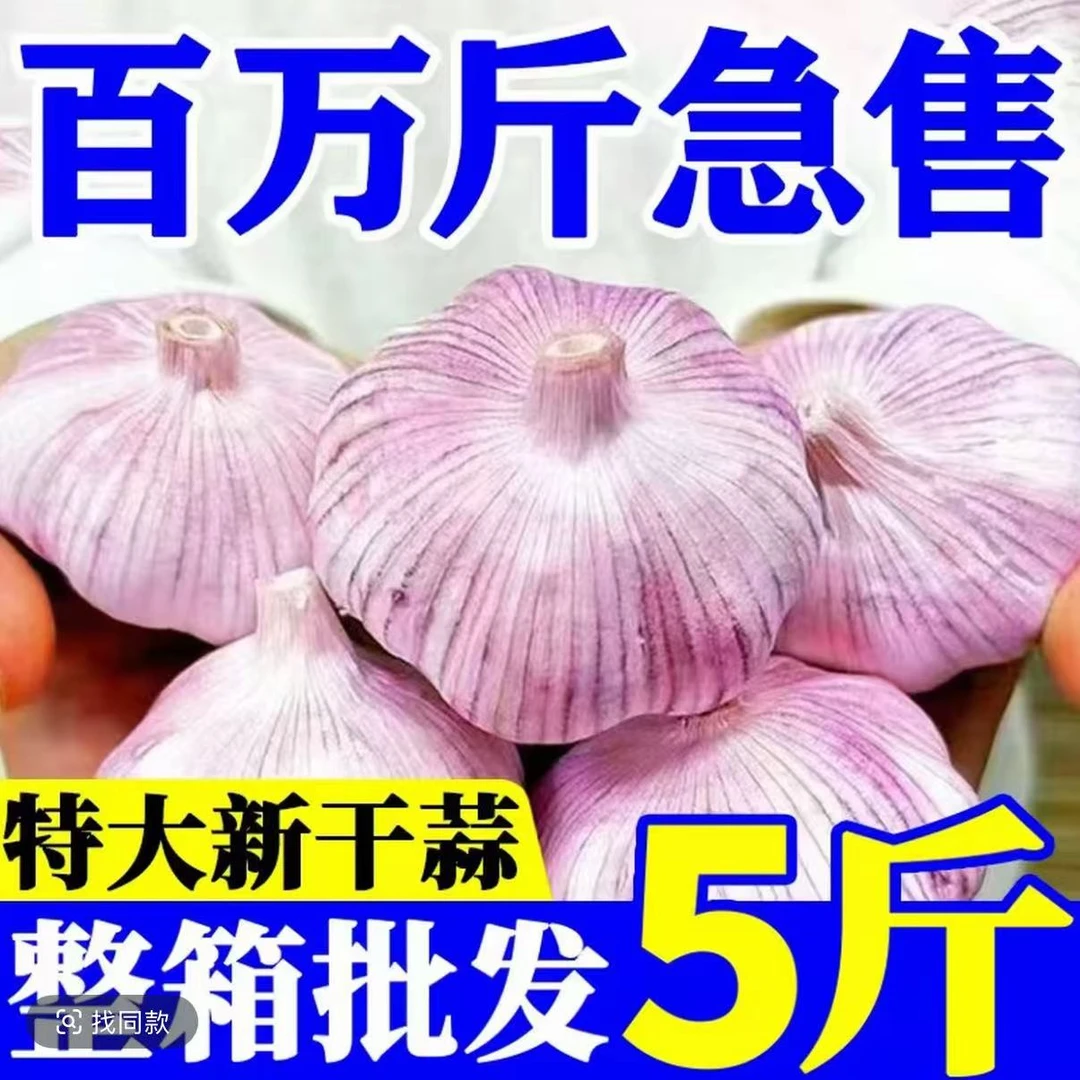 正宗紫皮大蒜新鲜干蒜农产品生鲜特产