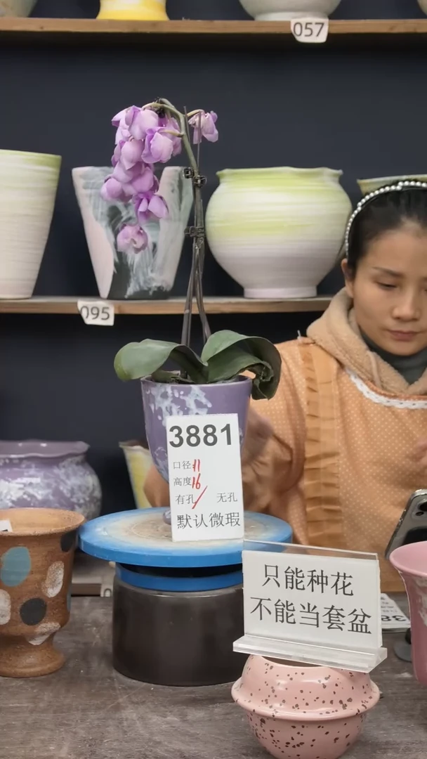 景德镇花盆默认微瑕3881